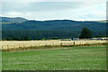 Fields at Teandalloch, Muir of Ord in IV4 7AA