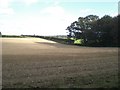 Across stubble towards eastern end of Broom Covert in PE32 1DN