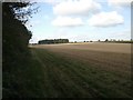North across arable land from eastern end of Congham Heath in PE32 1DN