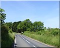 Trees at a bend in the B4247 in Port Eynon Community