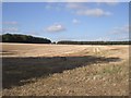 North west across stubble from track towards Harpley Dams in PE31 6DS