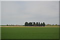 Fenlands farmland in PE33 0JN
