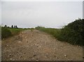Track in field by Poling Street in BN18 9PS