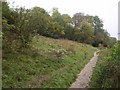 Path above Chipstead Bottom in CR5 3NS
