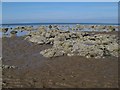 Rocks at the tide's edge in KA10 6TD