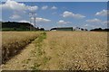 Footpath approaching Frampton Farm in Alderton (Tewkesbury)