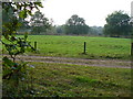 Field by Thornet Wood in KT24 5JH