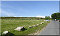 Cars keep off! Stones protecting the grassland in SA3 1AE