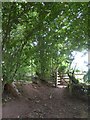 Kissing gate on footpath near Allerdown Farm in EX17 4EE