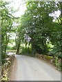 Dowrich Bridge from the north in EX17 4EE
