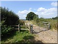 Farm road off Downclose Lane in North Perrott