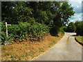 Driveway and footpath, Ashdown Forest in TN22 3BH