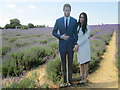 Cutout of Prince Harry and Meghan Markle in SM7 3BH