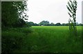 Public footpath across field near Bampton, Oxon in OX18 2AA