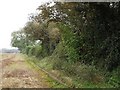 Footpath near Burgh Heath in KT20 6DA