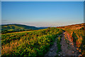 West Somerset : Moorland Path in TA24 8SZ