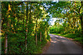 West Somerset : Stout's Way Lane in TA23 0SA