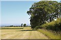 Cropped fields and roadside hedge at Auchentibber Farm in G72 0TW