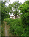 Teversham: footpath and houses in CB1 9AJ