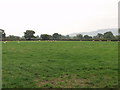 Great grazing country in SY22 6SW