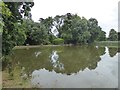 Great Pond, Forde Abbey in TA20 4LP