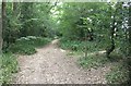 Path Junction near Woodlands Farm in RH14 0BG