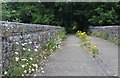Wild flowers on Laithkirk Viaduct over the River Lune in DL12 0TL