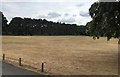 Cricket Ground in RH14 0BG