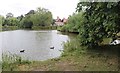 Great Massingham pond in PE32 2JJ