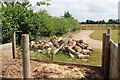 Timber at Workhouse Common in NR12 8BL