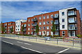 New apartments at Castle Hill, Ebbsfleet in DA10 1FP