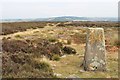 Trig pillar on Shooting House Hill, Askwith Moor in LS21 2NH