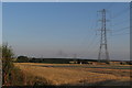 Pylon in the field in NN7 1LA