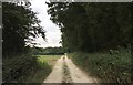 Track alongside Naldretts Copse in RH14 0AS