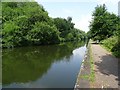 Telford's Birmingham Canal Navigation in B67 7HW
