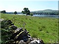 Field on the eastern shore of Coniston Water in LA21 8BL