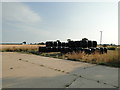 Bales of silage on hardstanding at Nash's Farm in NR28 9NX
