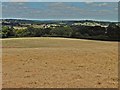 Parched field at Higher Lodge Farm in EX13 5RT