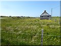 Houses among buttercups at North Shawbost in HS2 9BE