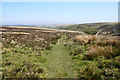 Path towards Lank Combe in EX35 6PU