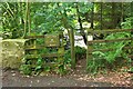 Stile into Currie Wood, Borthwick in EH23 4RA