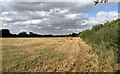 Field near Skeggs Farm, Writtle in CM1 3DF