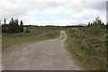 Track in Corrour Forest in PH31 4AR