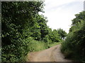 Footpath to Church Lane in Forthampton