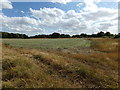 Field next to footpath off Newhouse Road in CO6 2NJ