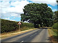 Broughton Road, near Old in Old