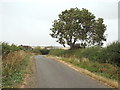 Rural lane near Braybrooke, Northamptonshire in LE16 8LG
