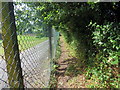 Llwybr Heol Alltycnap / Alltycnap Road path in SA31 3PQ