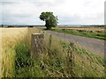 Blair Muir trig point beside the road in DD9 7RA
