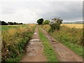 Track at Auchenreoch Farm in DD9 7QL